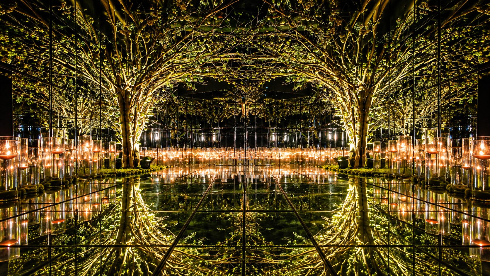 Árvores iluminadas refletidas na passarela de espelho