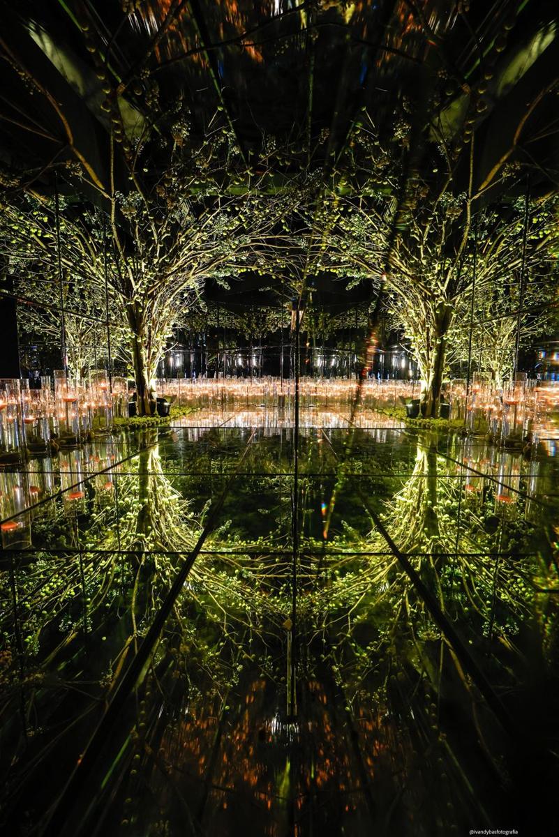 Árvores refletidas na passarela